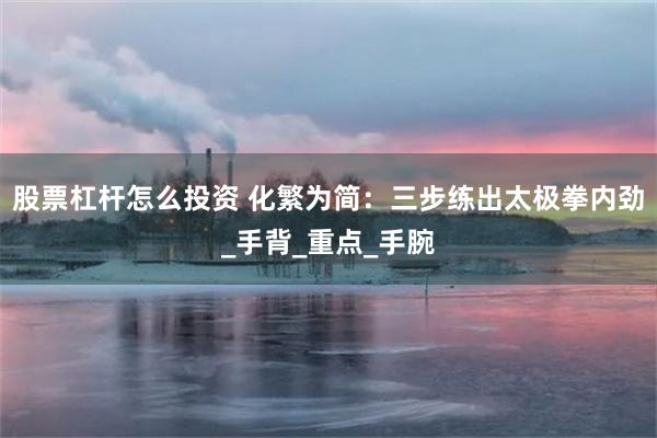 股票杠杆怎么投资 化繁为简：三步练出太极拳内劲_手背_重点_手腕