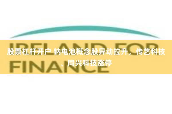 股票杠杆开户 钠电池概念股异动拉升，传艺科技、同兴科技涨停