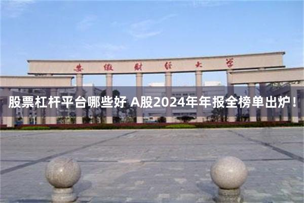 股票杠杆平台哪些好 A股2024年年报全榜单出炉！