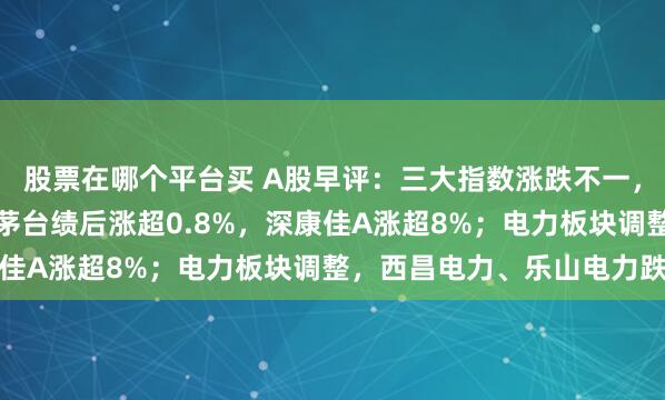 股票在哪个平台买 A股早评：三大指数涨跌不一，沪指跌0.08%，贵州茅台绩后涨超0.8%，深康佳A涨超8%；电力板块调整，西昌电力、乐山电力跌停