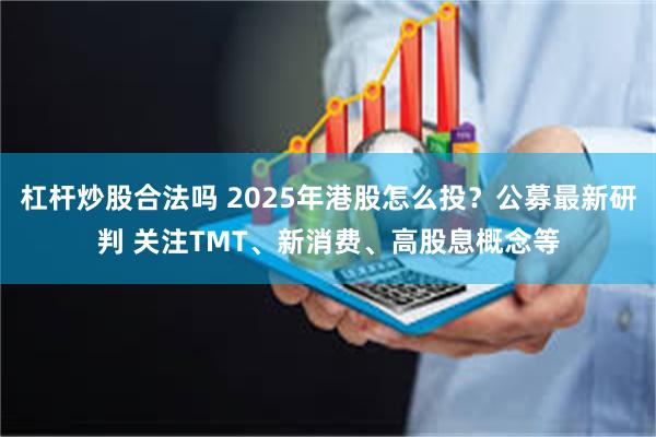 杠杆炒股合法吗 2025年港股怎么投？公募最新研判 关注TMT、新消费、高股息概念等