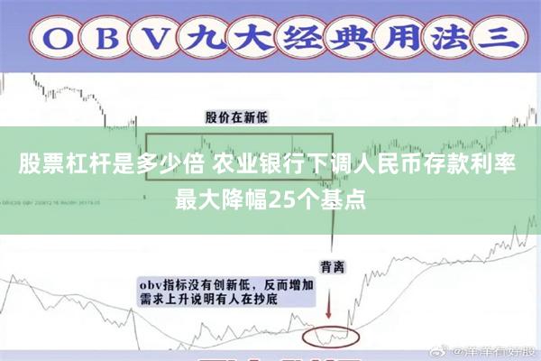 股票杠杆是多少倍 农业银行下调人民币存款利率 最大降幅25个基点