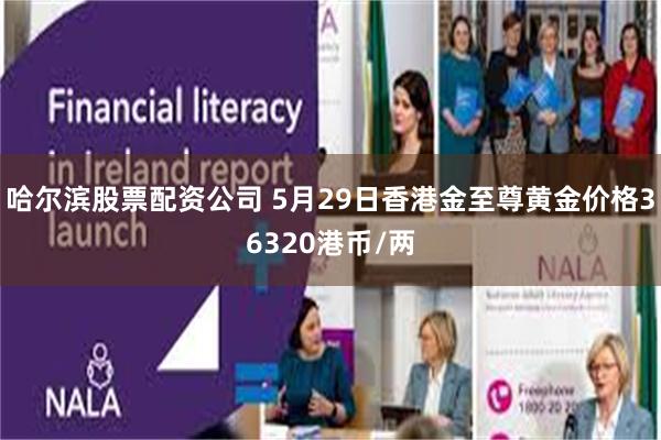 哈尔滨股票配资公司 5月29日香港金至尊黄金价格36320港币/两