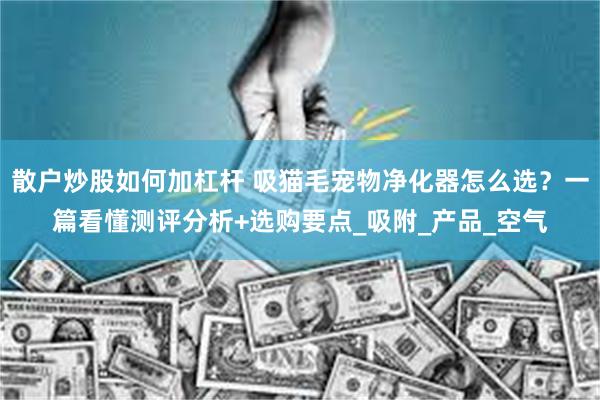 散户炒股如何加杠杆 吸猫毛宠物净化器怎么选？一篇看懂测评分析+选购要点_吸附_产品_空气