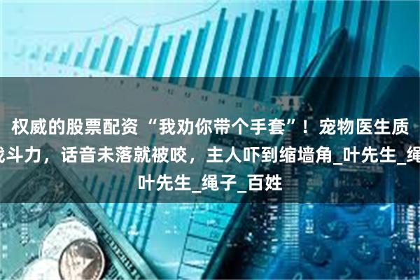 权威的股票配资 “我劝你带个手套”！宠物医生质疑猫咪战斗力，话音未落就被咬，主人吓到缩墙角_叶先生_绳子_百姓