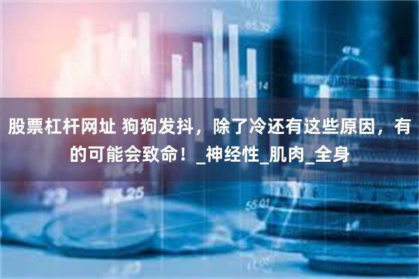 股票杠杆网址 狗狗发抖，除了冷还有这些原因，有的可能会致命！_神经性_肌肉_全身