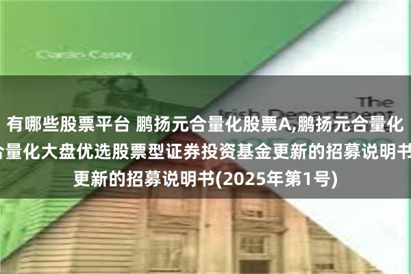 有哪些股票平台 鹏扬元合量化股票A,鹏扬元合量化股票C: 鹏扬元合量化大盘优选股票型证券投资基金更新的招募说明书(2025年第1号)