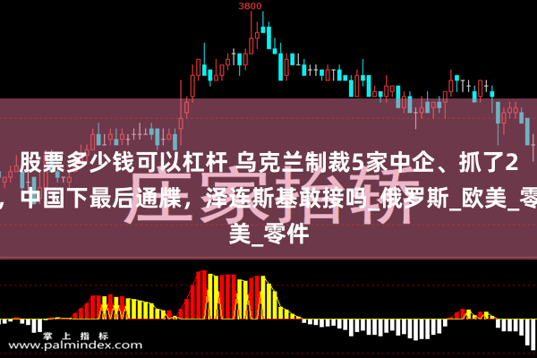 股票多少钱可以杠杆 乌克兰制裁5家中企、抓了2人，中国下最后通牒，泽连斯基敢接吗_俄罗斯_欧美_零件