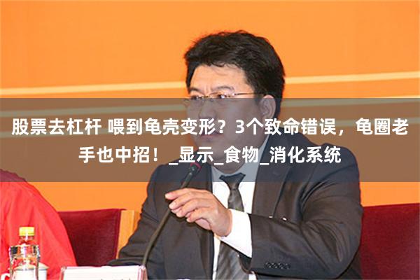 股票去杠杆 喂到龟壳变形？3个致命错误，龟圈老手也中招！_显示_食物_消化系统