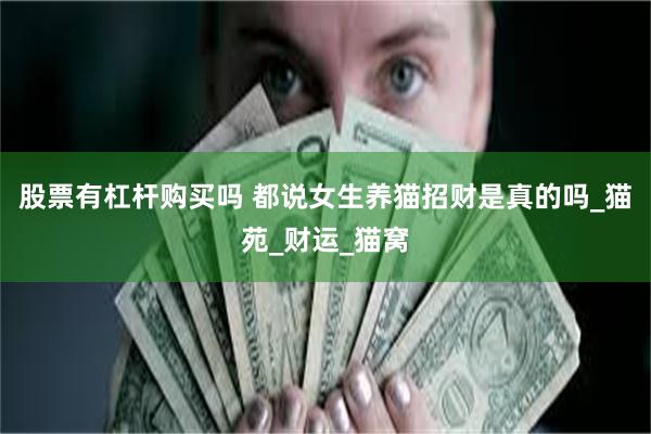股票有杠杆购买吗 都说女生养猫招财是真的吗_猫苑_财运_猫窝