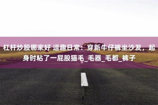 杠杆炒股哪家好 逗趣日常：穿新牛仔裤坐沙发，起身时粘了一屁股猫毛_毛器_毛都_裤子