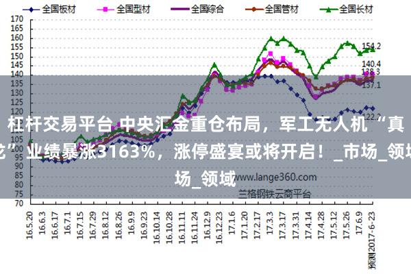 杠杆交易平台 中央汇金重仓布局，军工无人机 “真龙” 业绩暴涨3163%，涨停盛宴或将开启！_市场_领域
