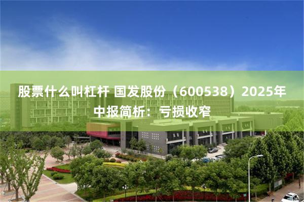 股票什么叫杠杆 国发股份（600538）2025年中报简析：亏损收窄